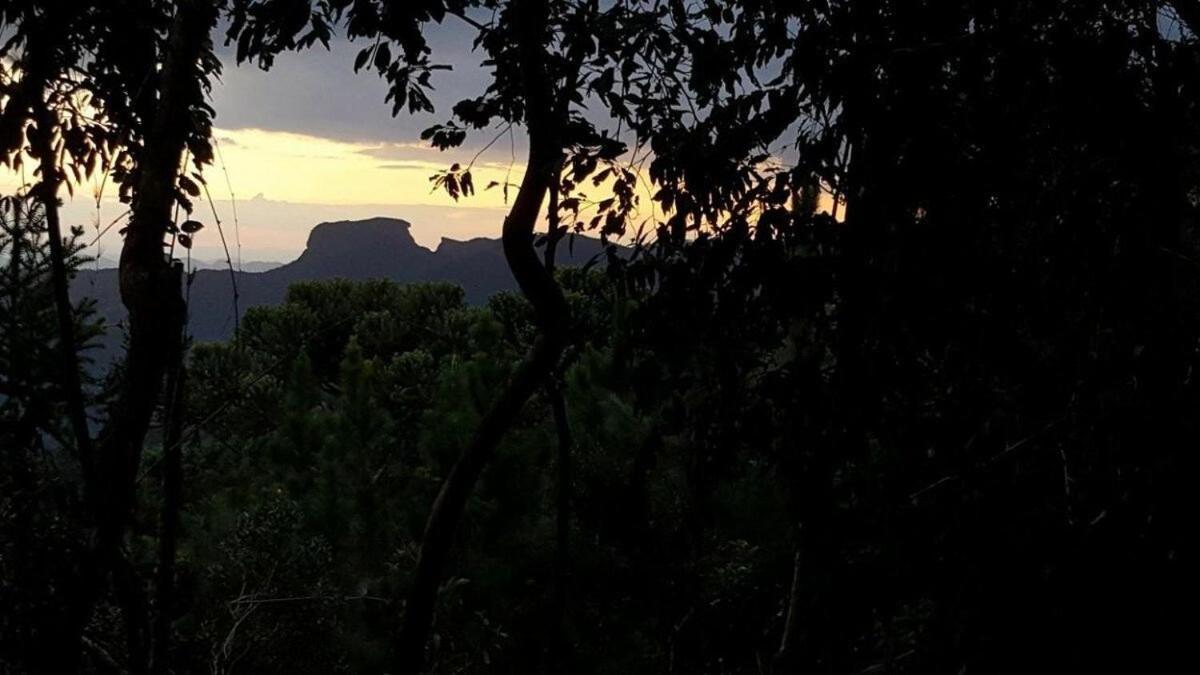Chalé dos tucanos Campos do Jordão Exterior foto