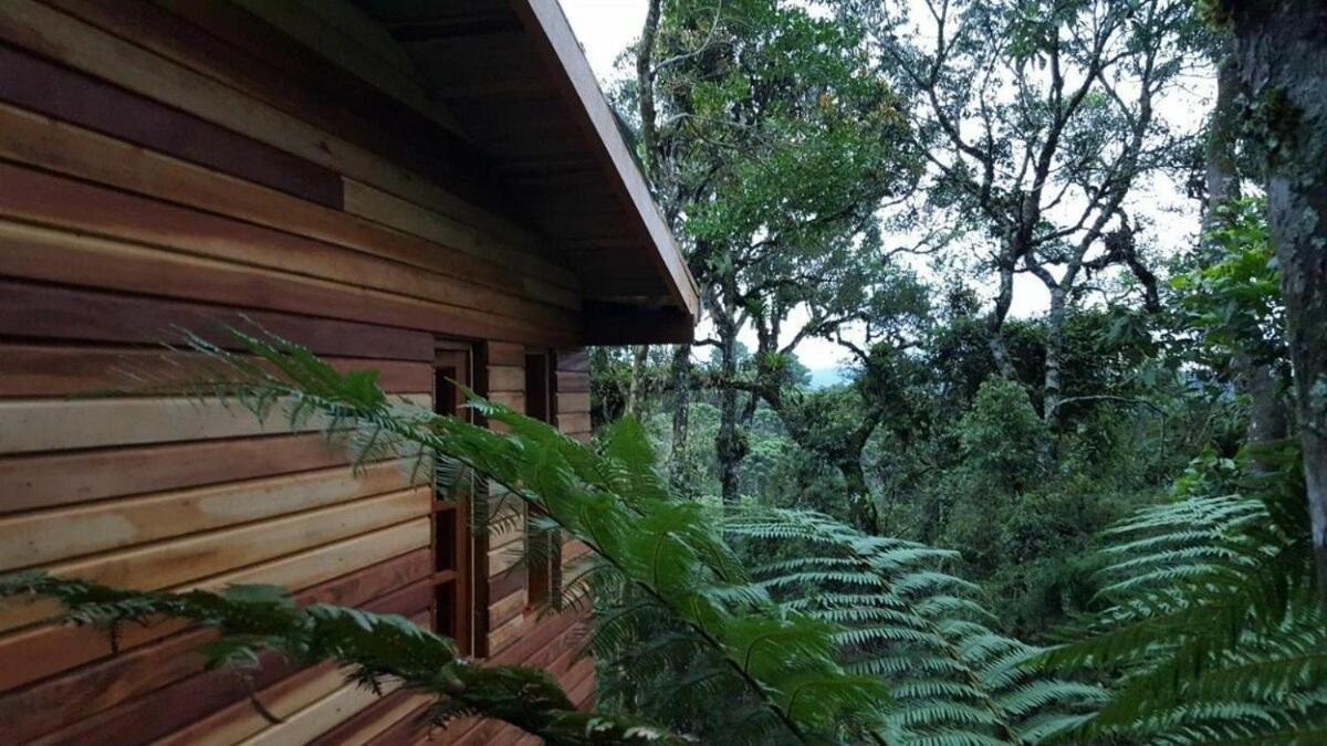 Chalé dos tucanos Campos do Jordão Exterior foto